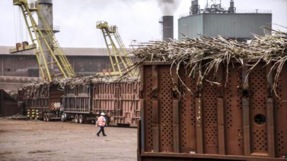 Swaraj to set up Asia’s largest ethanol production unit in Maharashtra