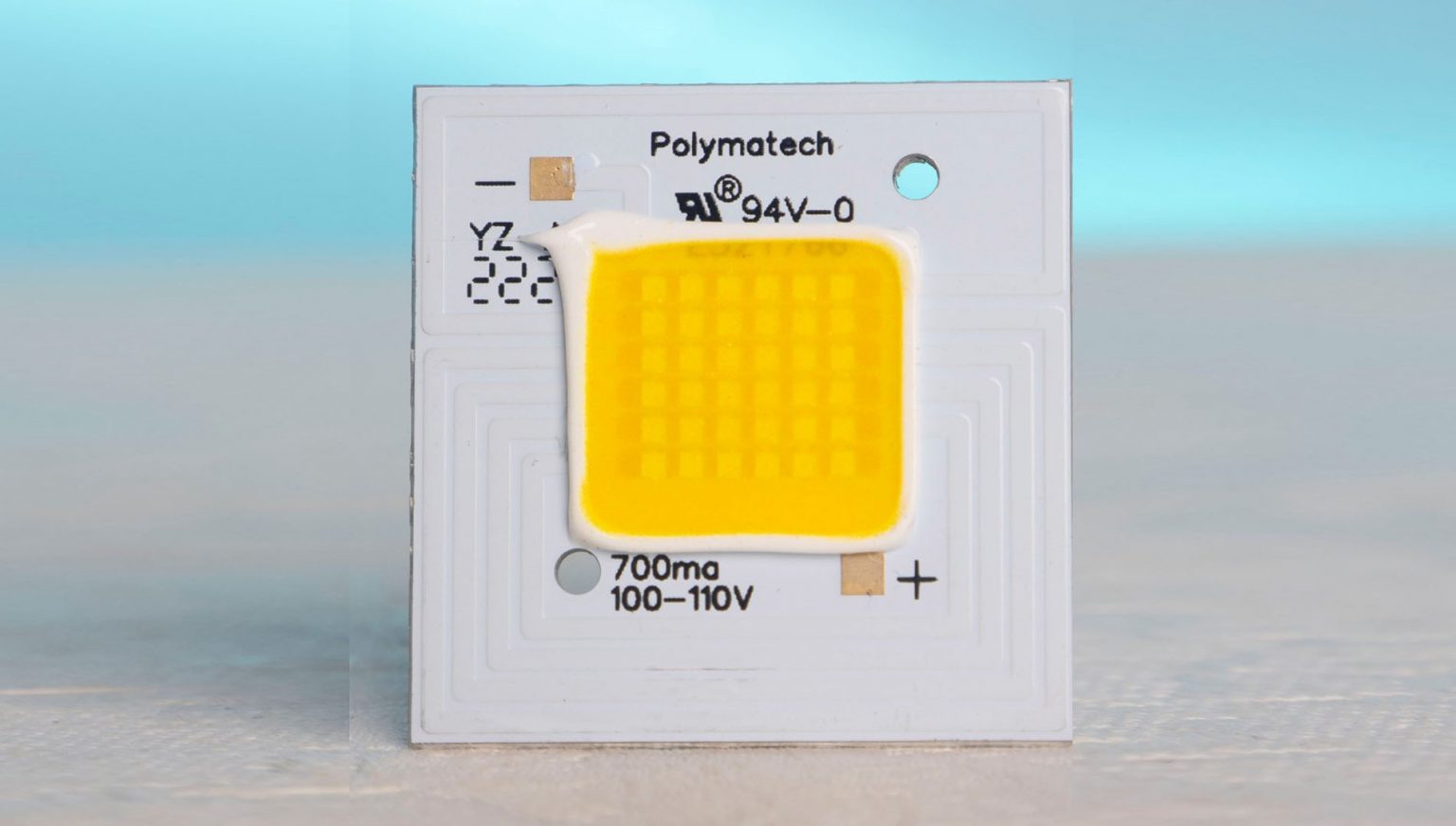 Polymatech rolls out Made In India semiconductor chips Manufacturing