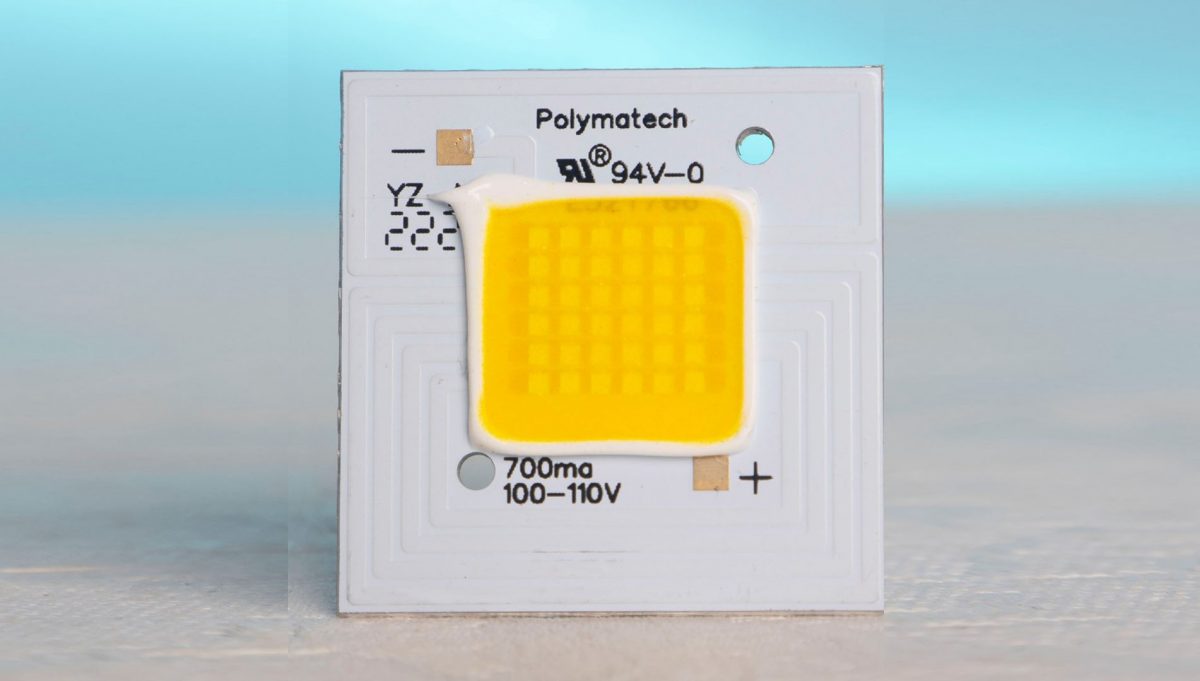 Polymatech rolls out Made In India semiconductor chips Manufacturing