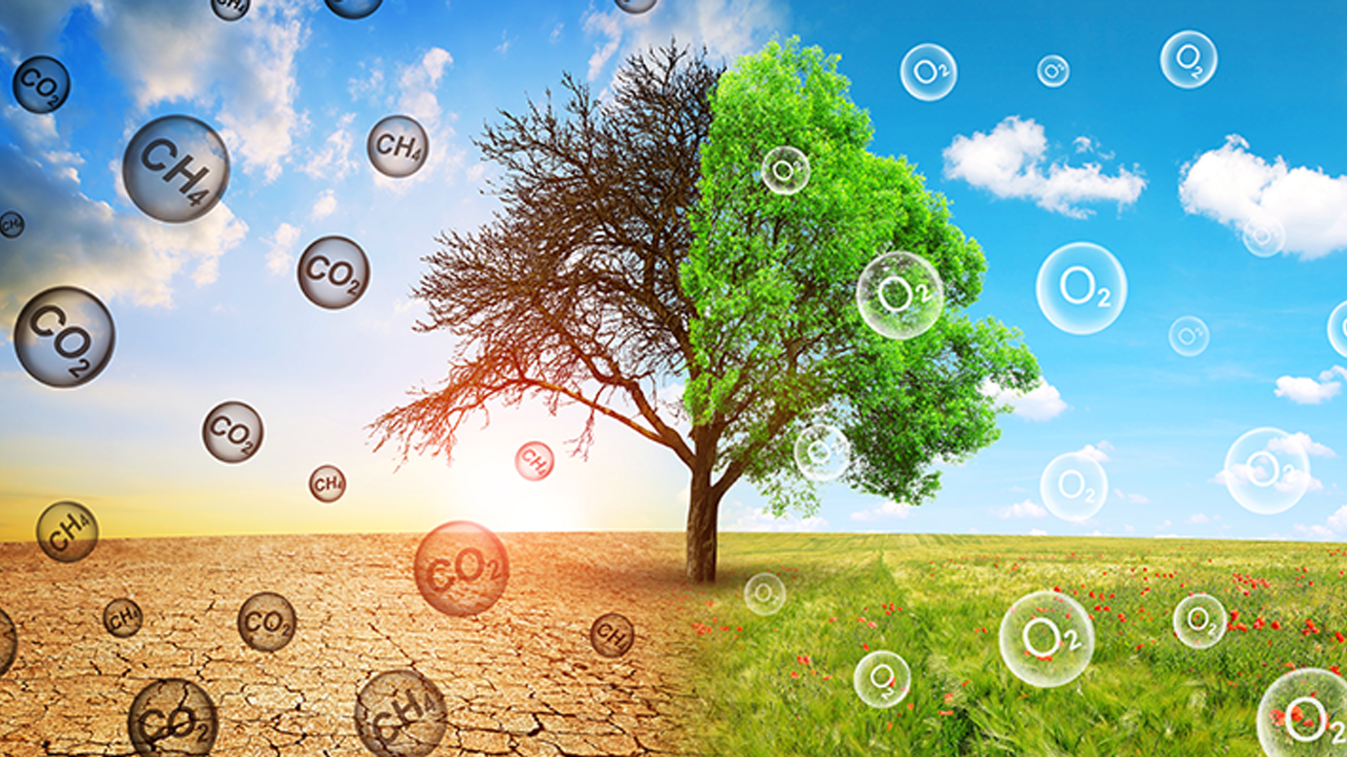 Honeywell launches emission management solutions Manufacturing Today