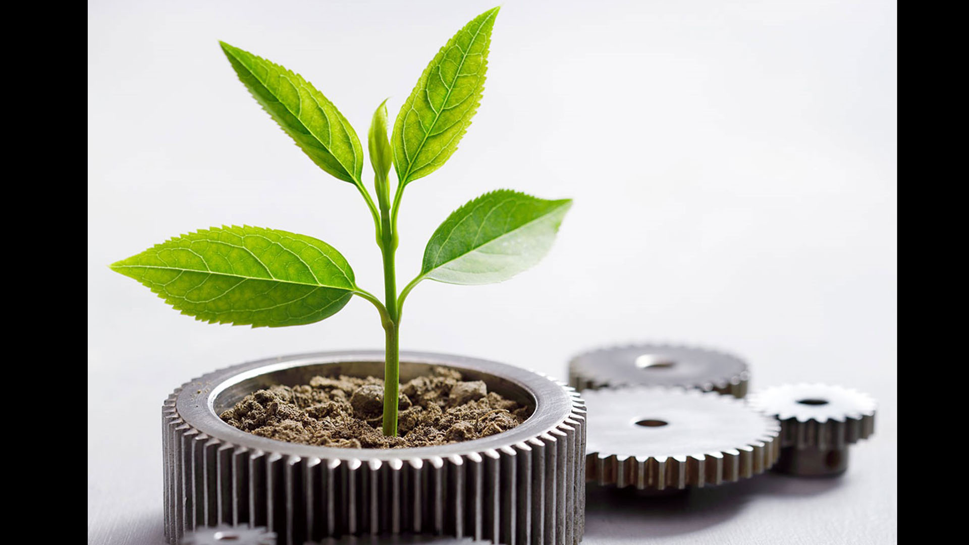 Embracing clean manufacturing and sustainability for a better future