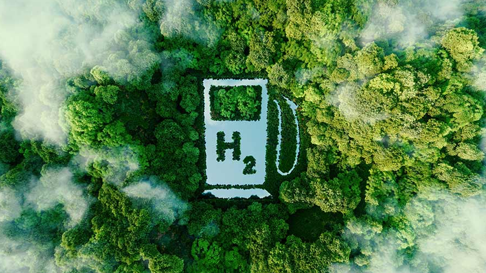 India's IH2A Initiative Proposes Hydrogen Purchase Obligations for Green Transition