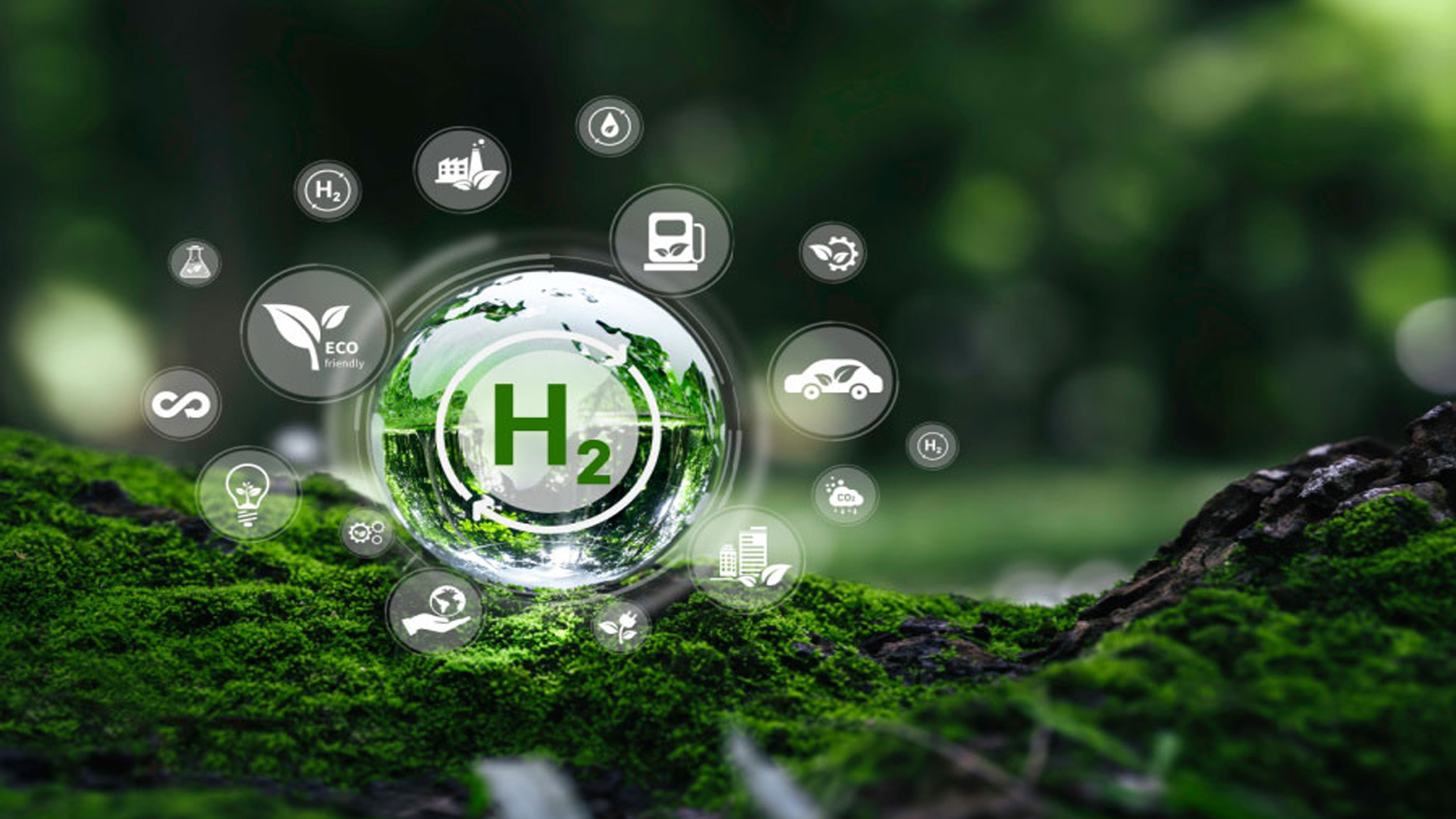 AETL and Haryana City Gas to Build 2000 MTPA Green Hydrogen Plant in India