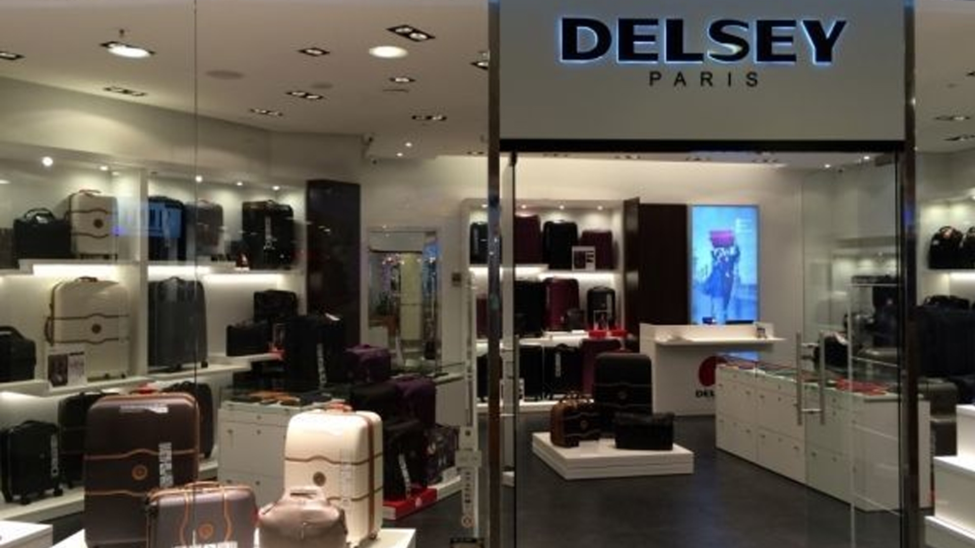 Delsey store hotsell