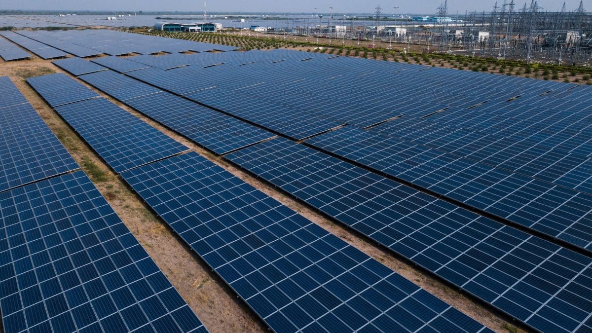 Aldis Huge Solar Power Push 90 More Stores Going Green 77M Investment - eaf5n5m