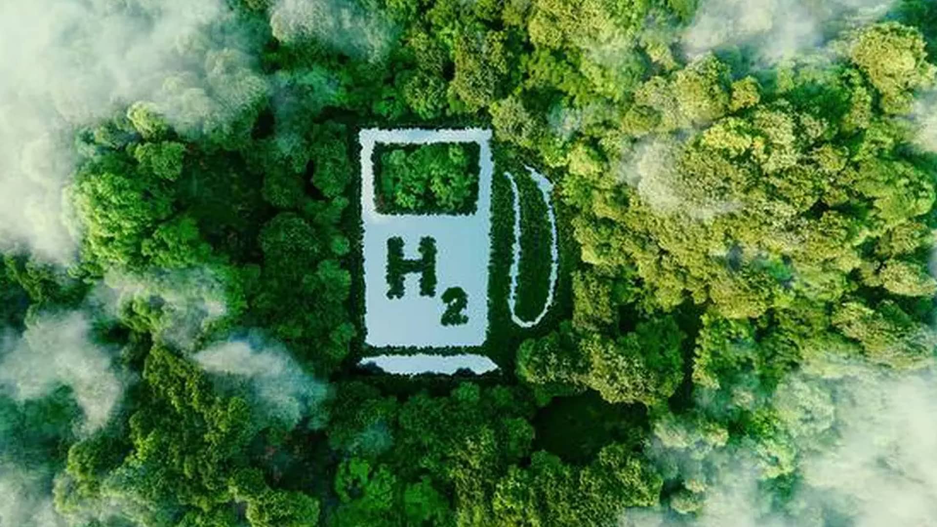 India Hydrogen Alliance Proposes Hydrogen Purchase Obligations to Safeguard $80 Billion Investment