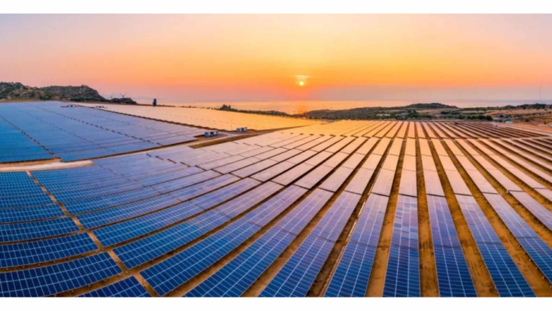 Hartek Shines in Top 3 Solar EPC Firms of 2024