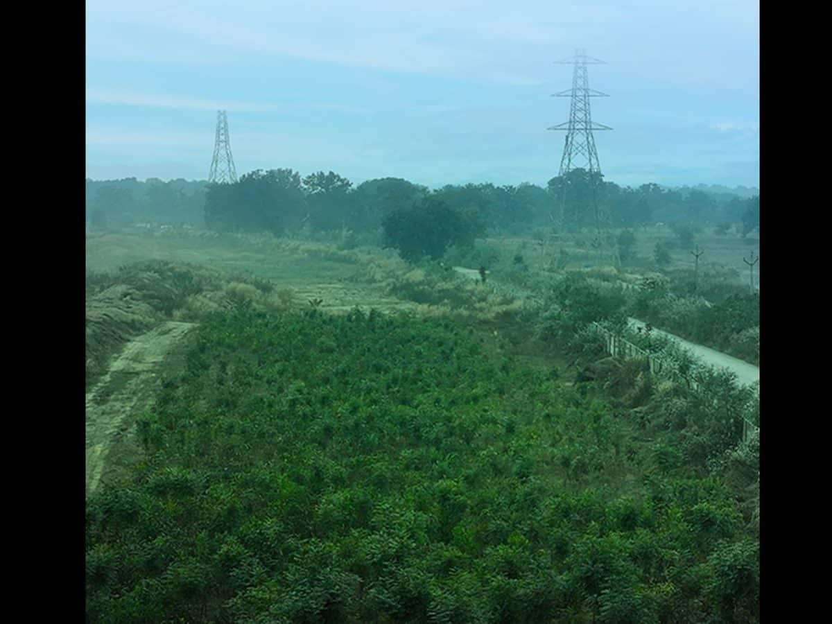 Vedanta Aluminium’s coal mine earns 4-star eco honour